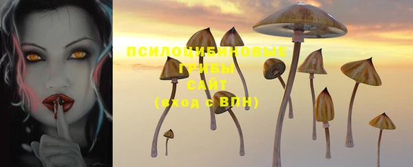 соль курить ск Армянск