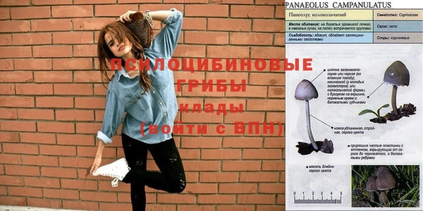 экстази Арсеньев