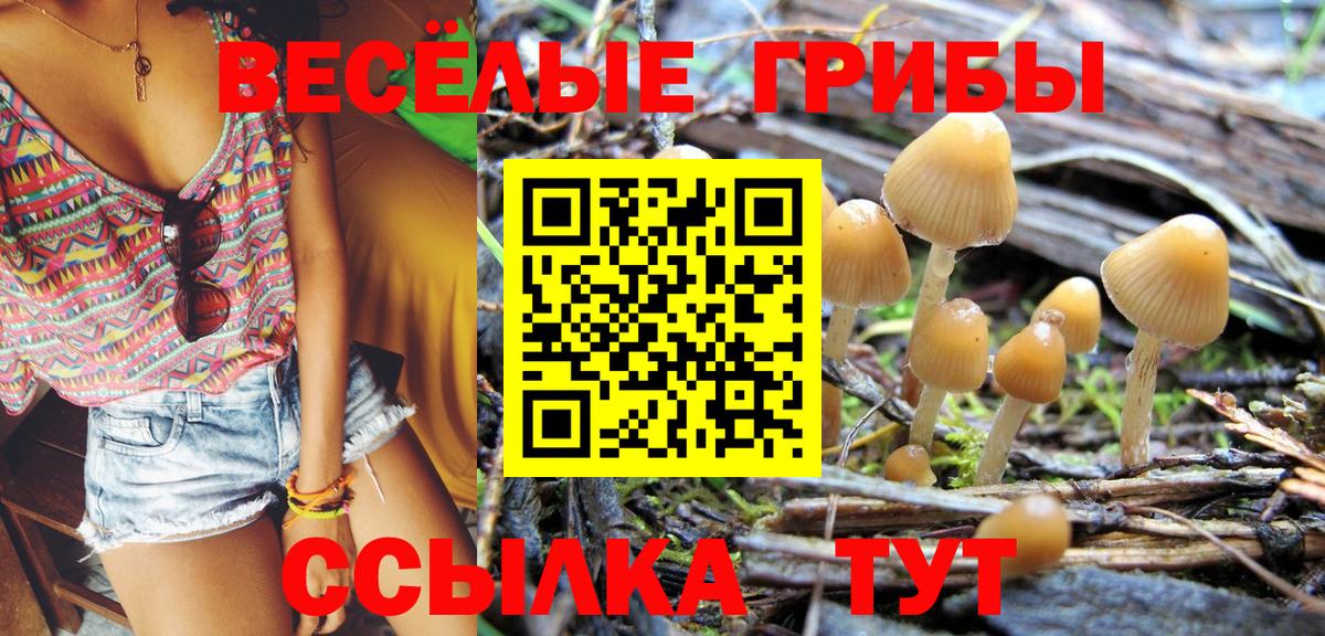 Галлюциногенные грибы прущие грибы Электрогорск