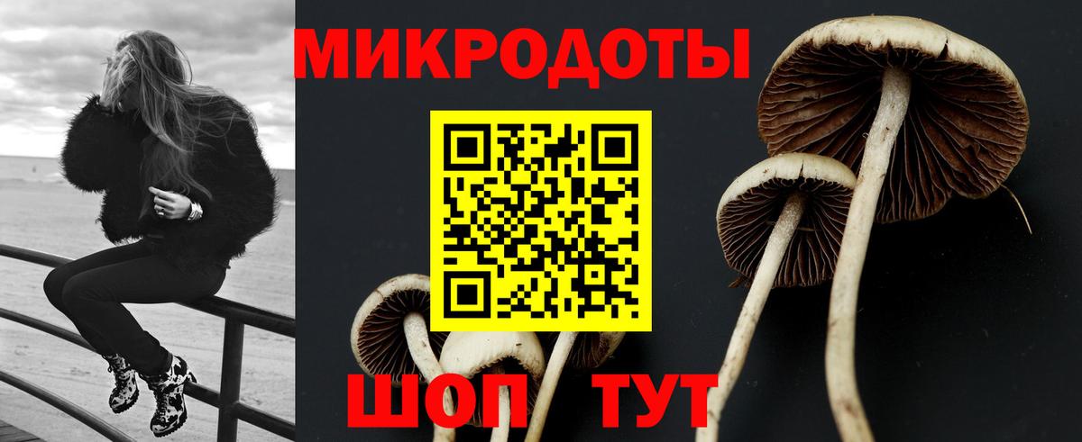 Электрогорск  Галлюциногенные грибы Cubensis  цена наркотик  Вход с VPN 